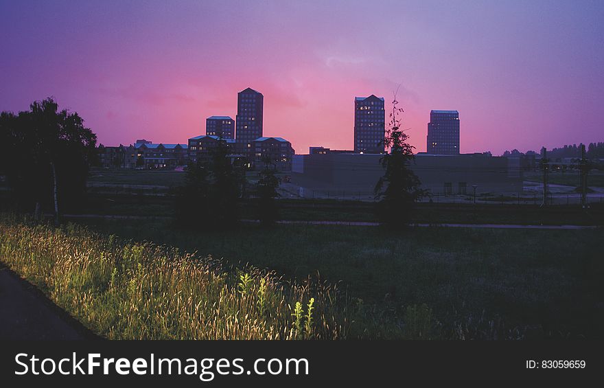 Silhouette Of Tree And High Rise Building During Sunset