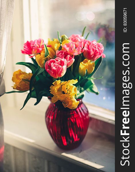Pink and Yellow Petaled Flower on Red Glass Vase