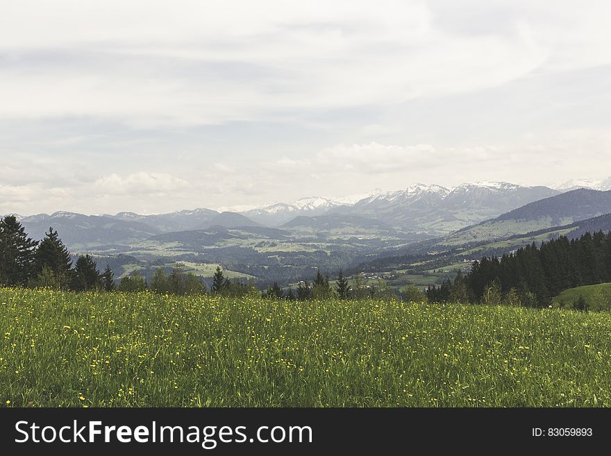 Green Grass Field Under Grey Clear Sky Overlooking Mountains