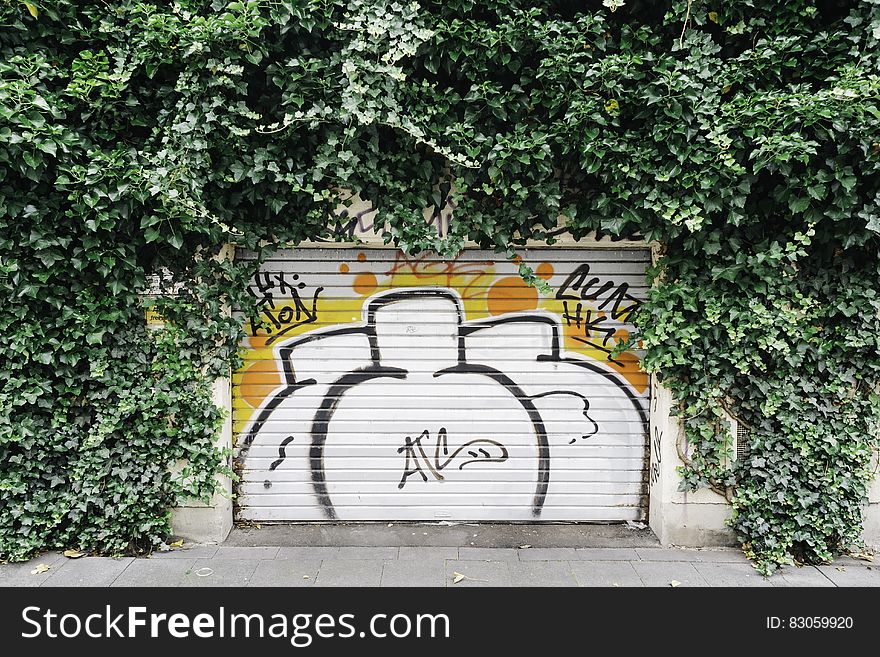 Graffiti on garage door surrounded by vines on sunny day.
