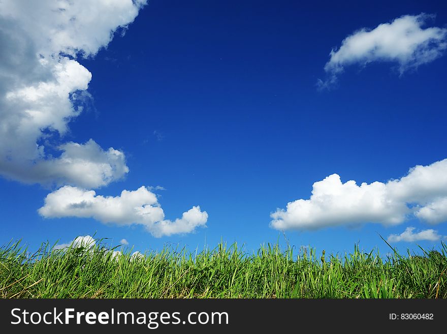 Low angle view of white clouds in blue sky over green field. Low angle view of white clouds in blue sky over green field.