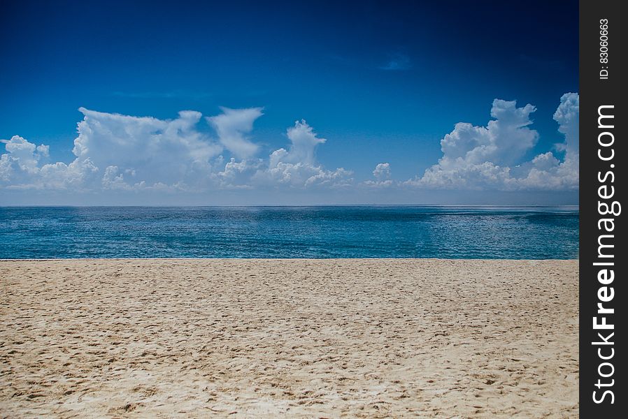 Ocean View During Daylight