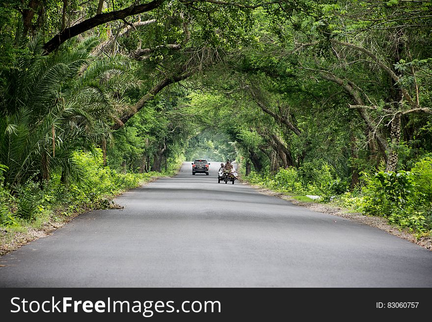 Gray Car In The Middle Of Highway Near Green Trees