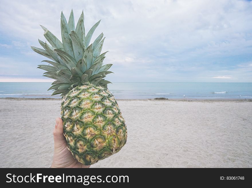 Hand holding fresh raw pineapple on sandy beach. Hand holding fresh raw pineapple on sandy beach.