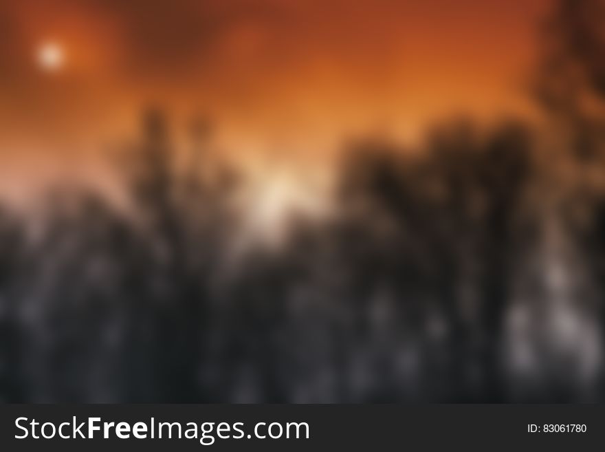 This is a blurred photo of black trees in the foreground and a red sunset in the background. The sun is covered by some clouds. This is a blurred photo of black trees in the foreground and a red sunset in the background. The sun is covered by some clouds.