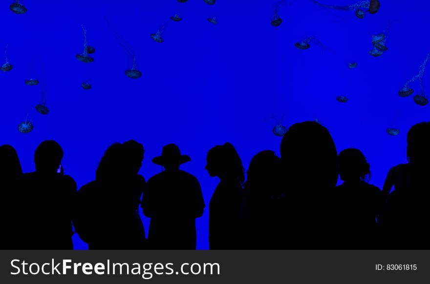 The silhouettes of people watching jellyfish in an aquarium.