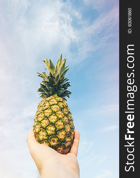 Hand holding pineapple against blue skies