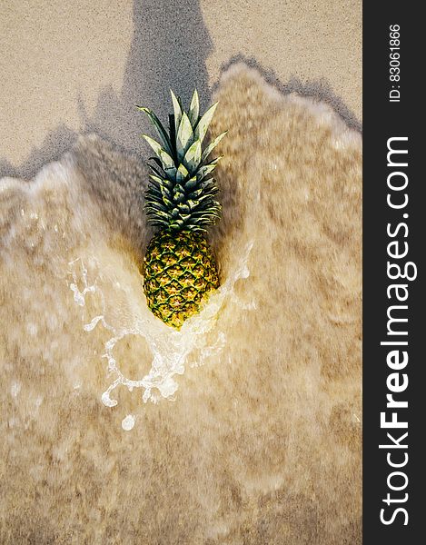 Fresh whole ripe pineapple on sandy beach in ocean waves. Fresh whole ripe pineapple on sandy beach in ocean waves.