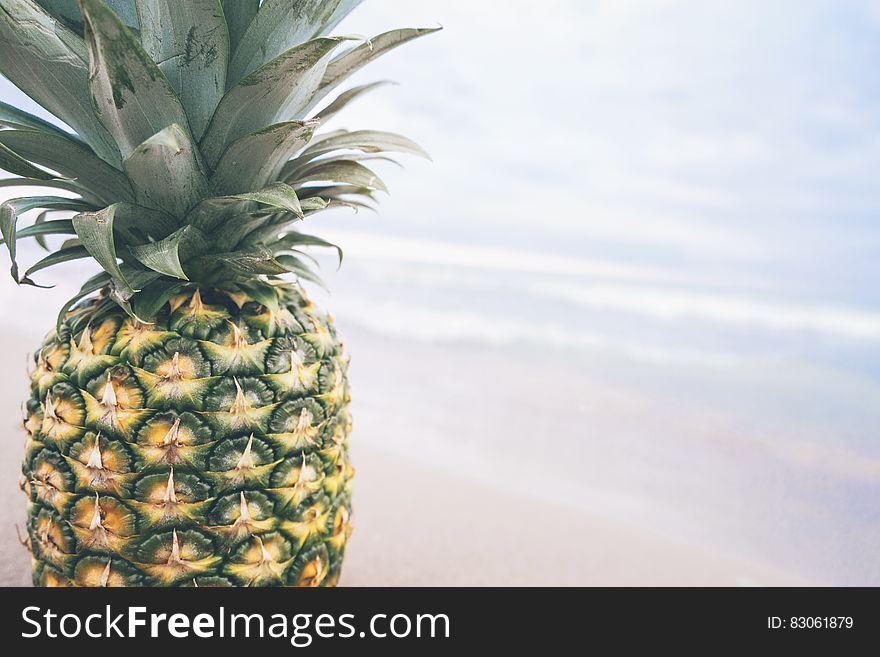Close up of whole fresh pineapple on sunny beach. Close up of whole fresh pineapple on sunny beach.