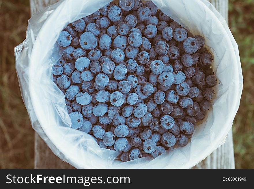 Fresh blueberries in plastic lined basket outdoors.