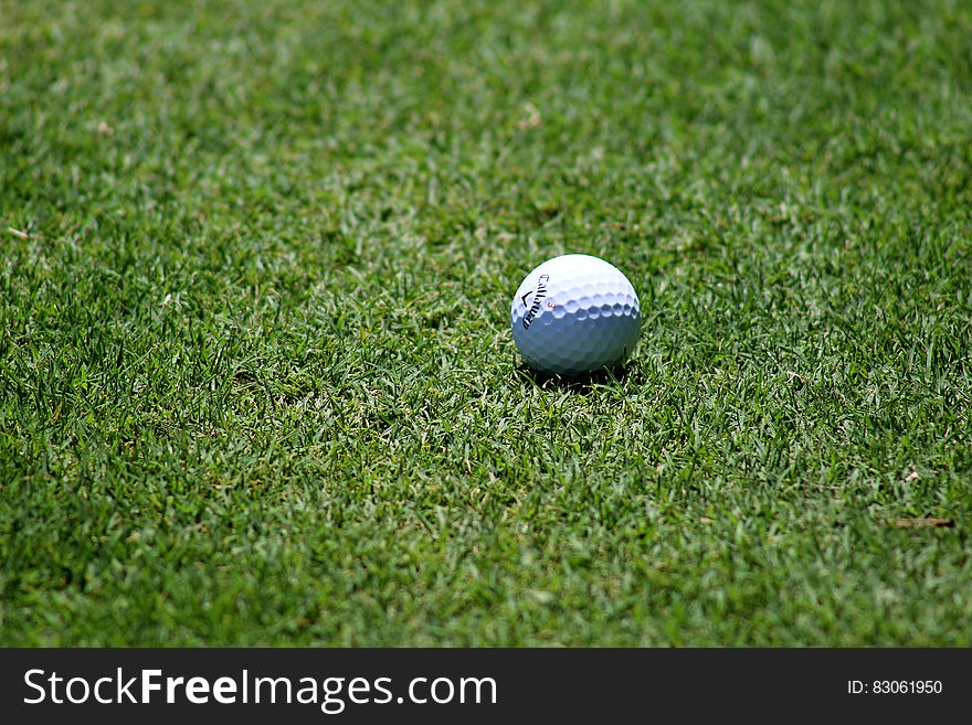 Callaway golf ball on green grass fairway on sunny day. Callaway golf ball on green grass fairway on sunny day.