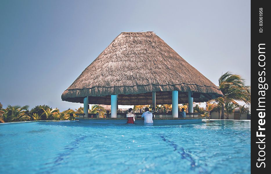 A tropical bar in a swimming pool. A tropical bar in a swimming pool.