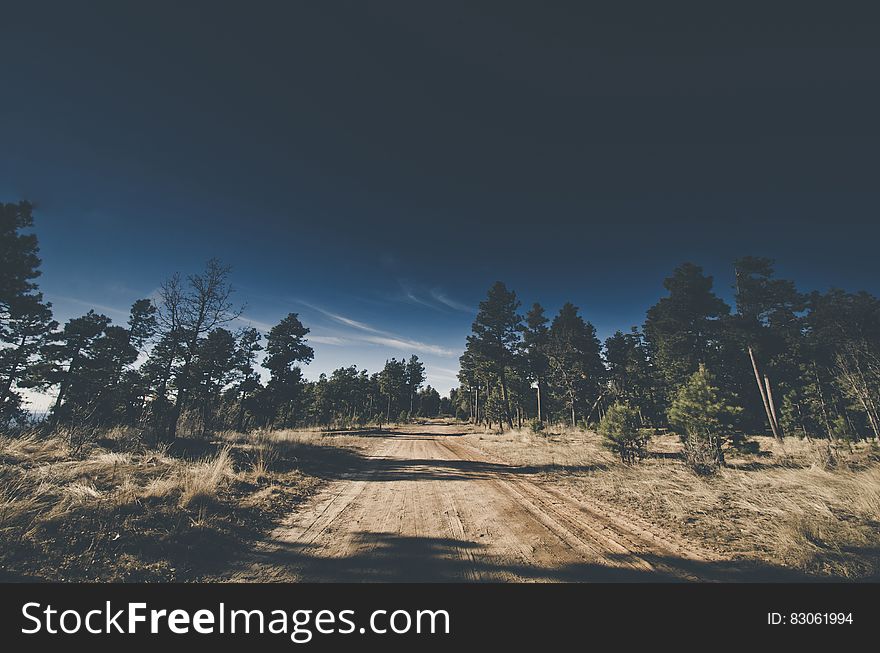 Empty dirt road in countryside on sunny day.