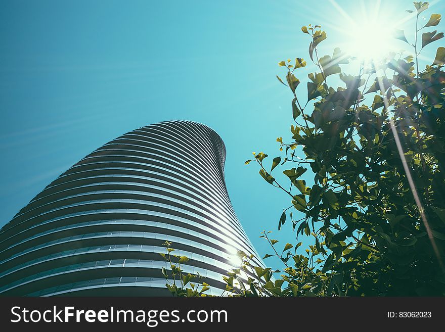 Facade of modern building over green tree top against blue skies on sunny day. Facade of modern building over green tree top against blue skies on sunny day.
