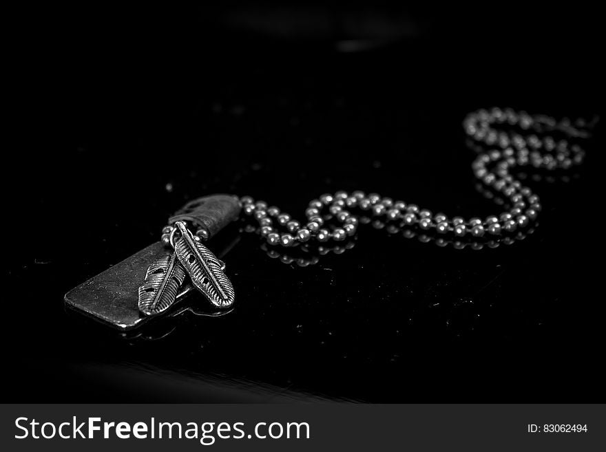 Silver Dog Tag Necklace on Black Background