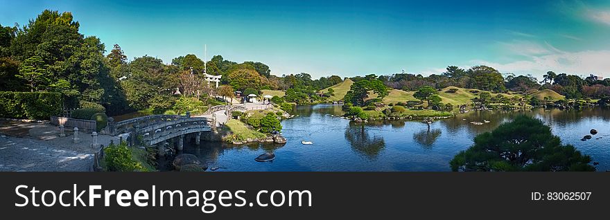 Areal View of Lake Bridge and Trees during Daytime