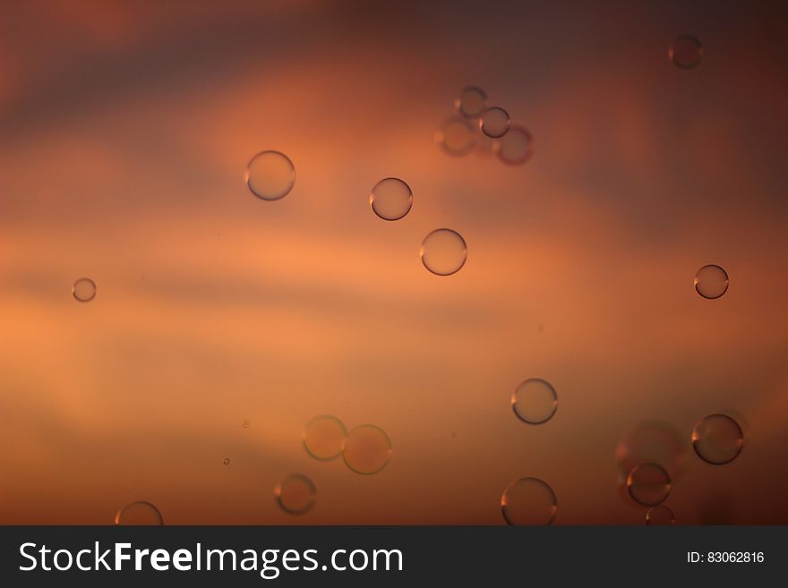 Water Drops in Time Lapse Photography