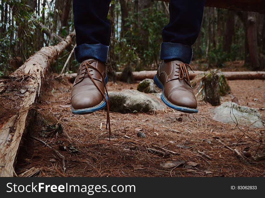 Photography of Person Wearing Brown Leather Shoes Near Brown Log on Green Forest during Daytime