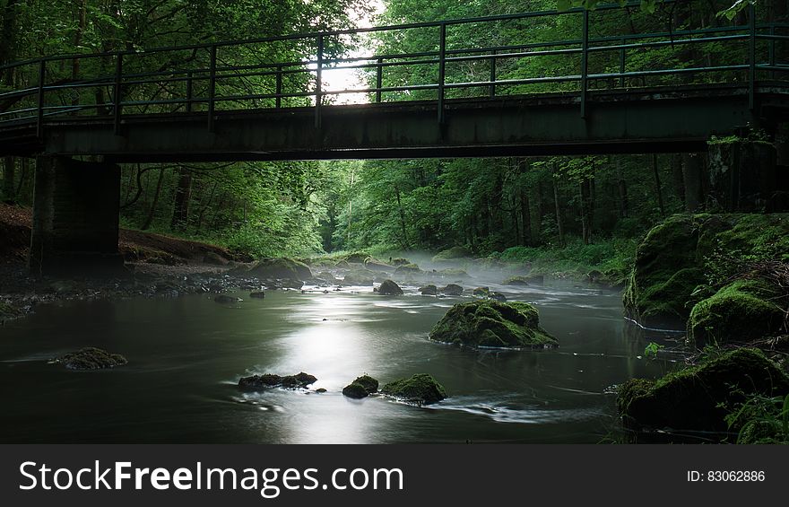 River With Rocks Under Bridge Surrounded By Green Leaf Trees During Daytime