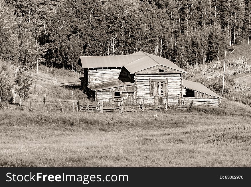 Gray Scale Photography of House Beside Trees