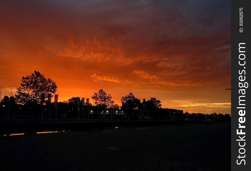 Silhouette of Trees and Building during Sunset