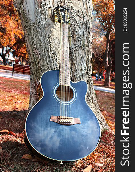 Blue Cut Away 12 String Guitar