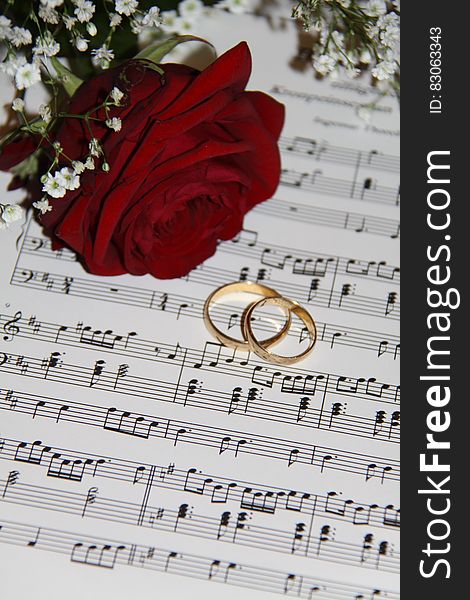 2 Gold Eternity Ring Near Red Rose on Musical Notes