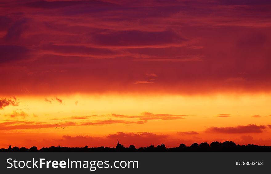Silhouette of Trees Under Orange and Red Sky