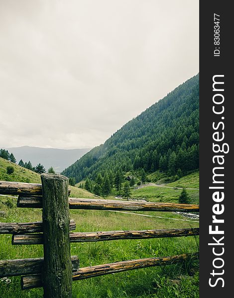 Green Trees on Mountain Under White Sky during Daytime