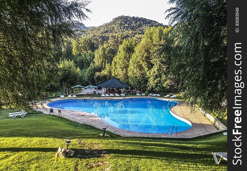 Green Grass Field Beside Swimming Pool During Daytime