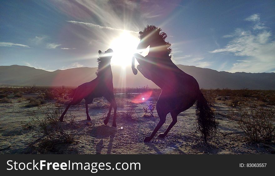 Silhouettes of 2 Horse Near Mountain during Daytime