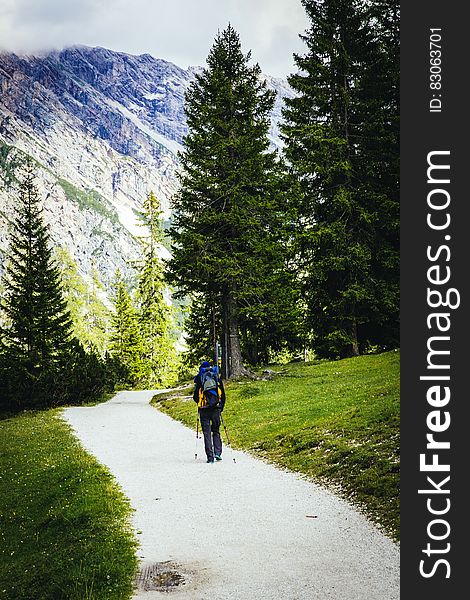 Person With Backpack Hiking Near Trees and Green Grass