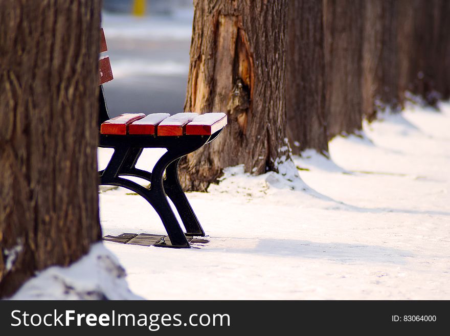 Park bench in winter snow