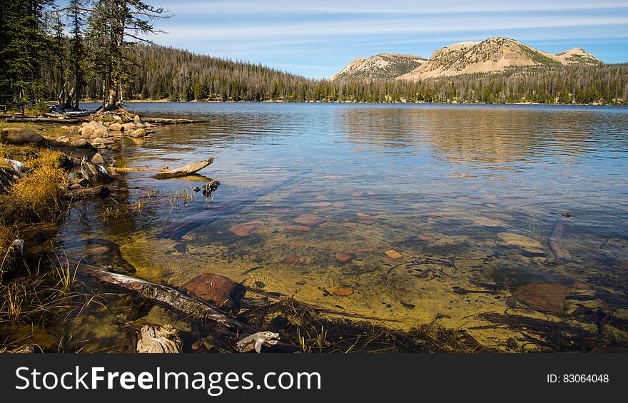 Calm Water With Green Trees On Side And Overlooking Mountain Hill Under White Blue Sky During Daytime