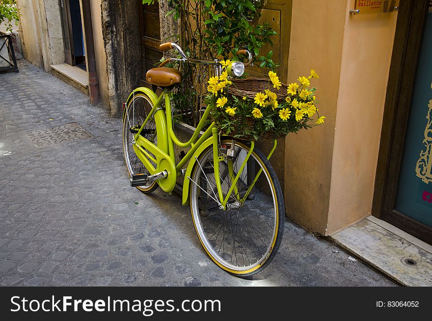 Green Cruiser Beach Bike With Yellow Flower on Basket