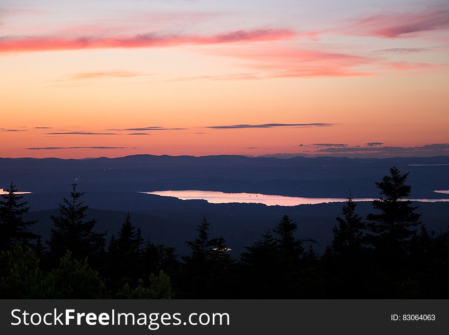 Silhouette Of Pine Trees During Golden Hour