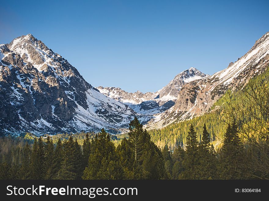 Mountain With Snow and Trees