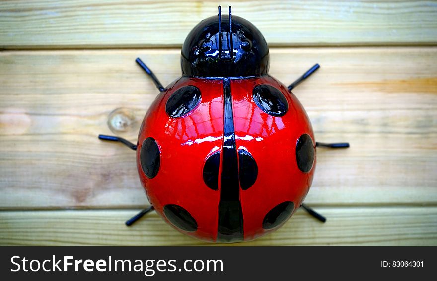 Ladybug Plastic Toy