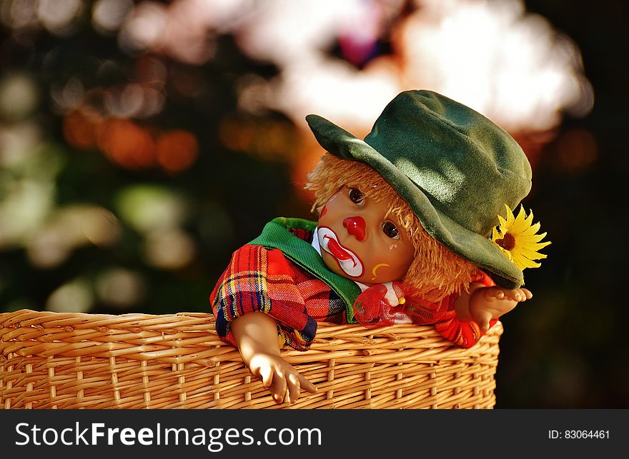 Baby Wearing Green Hat and Red Black and Yellow Plaid Top Inside Brown Wicker Basket