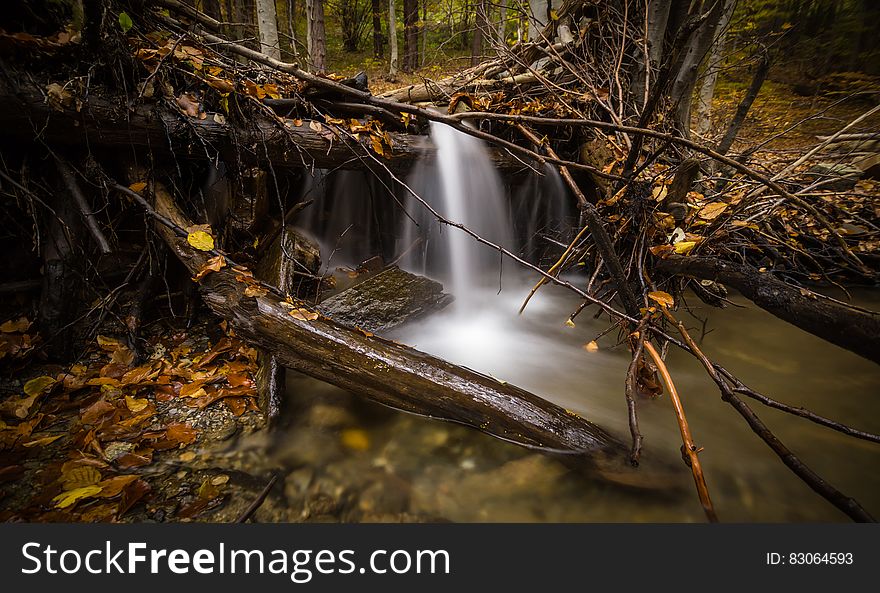 Time Lapse Photography Of Falls Surrounded By Trees