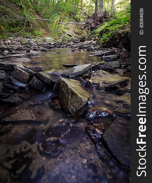 Time Lapse Photo of Stream on Green Forest