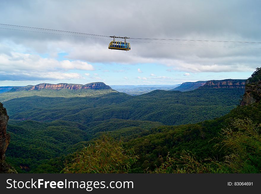 White Zip Line Bus Above on Green Leaved Trees