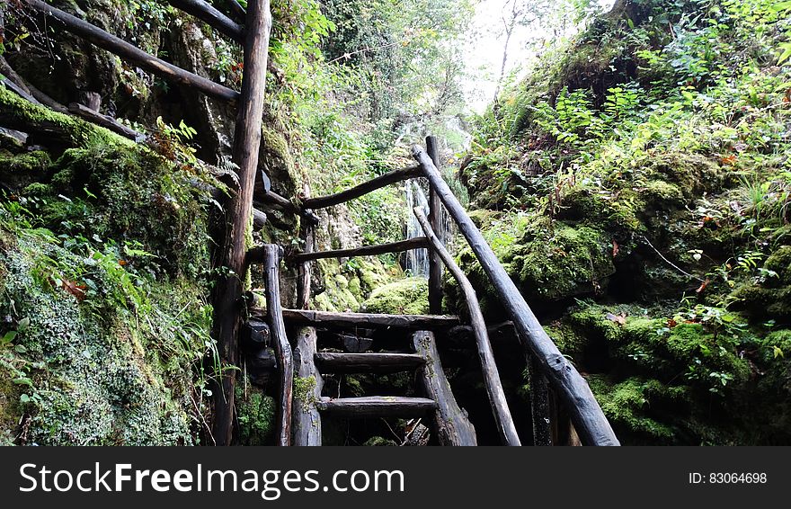 Black Wood Stairs Going to Waterfall during Daytime