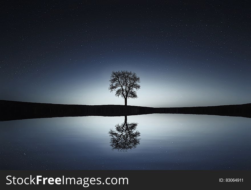 Reflection Of Tree On Landscape