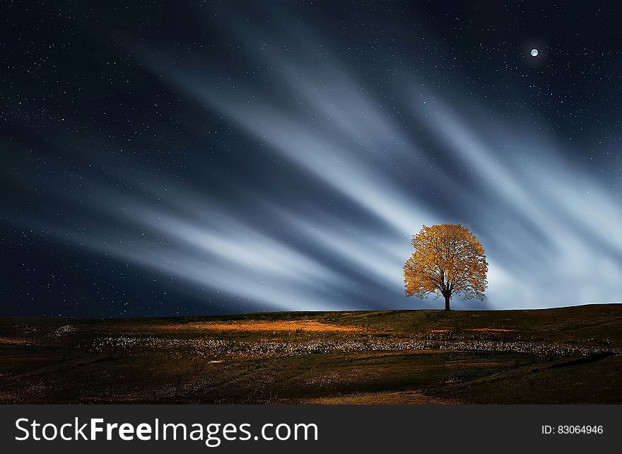 Clouds in night skies with moon over tree in rural landscape. Clouds in night skies with moon over tree in rural landscape.