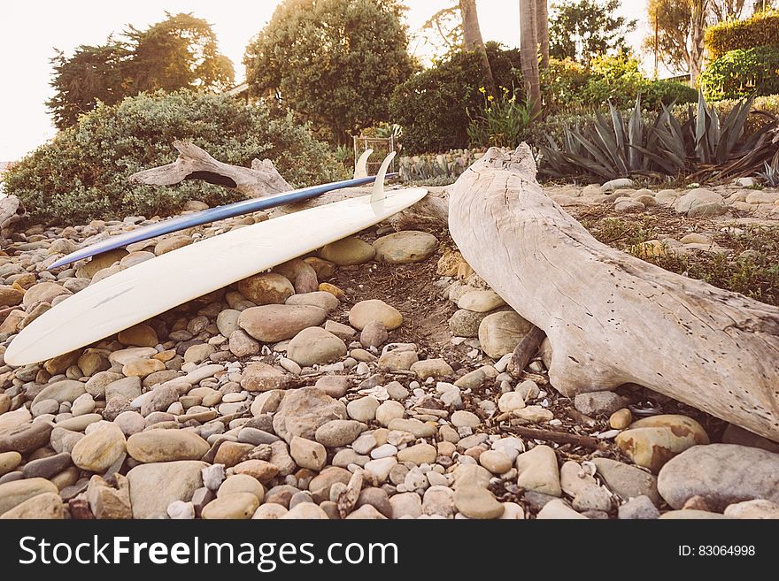 Surfboard and driftwood on rocks. Surfboard and driftwood on rocks.