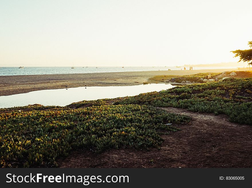 Small pond next to beach on sunny day. Small pond next to beach on sunny day.