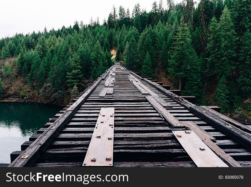 Wooden bridge over river in pine tree forest.