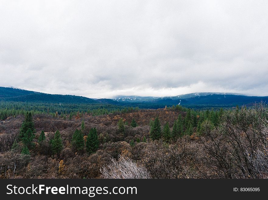 Clouds over hillside across forest tree tops. Clouds over hillside across forest tree tops.