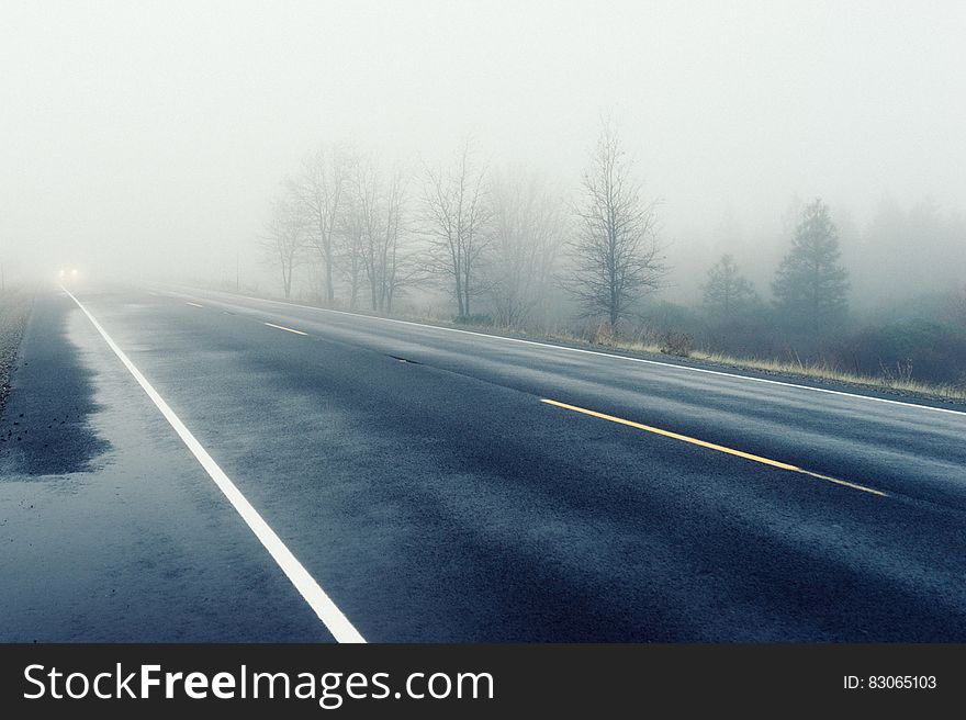 Fog over country road